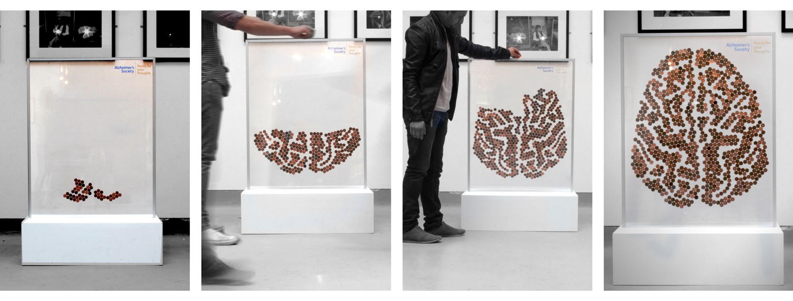 PennyBrainPresentation5