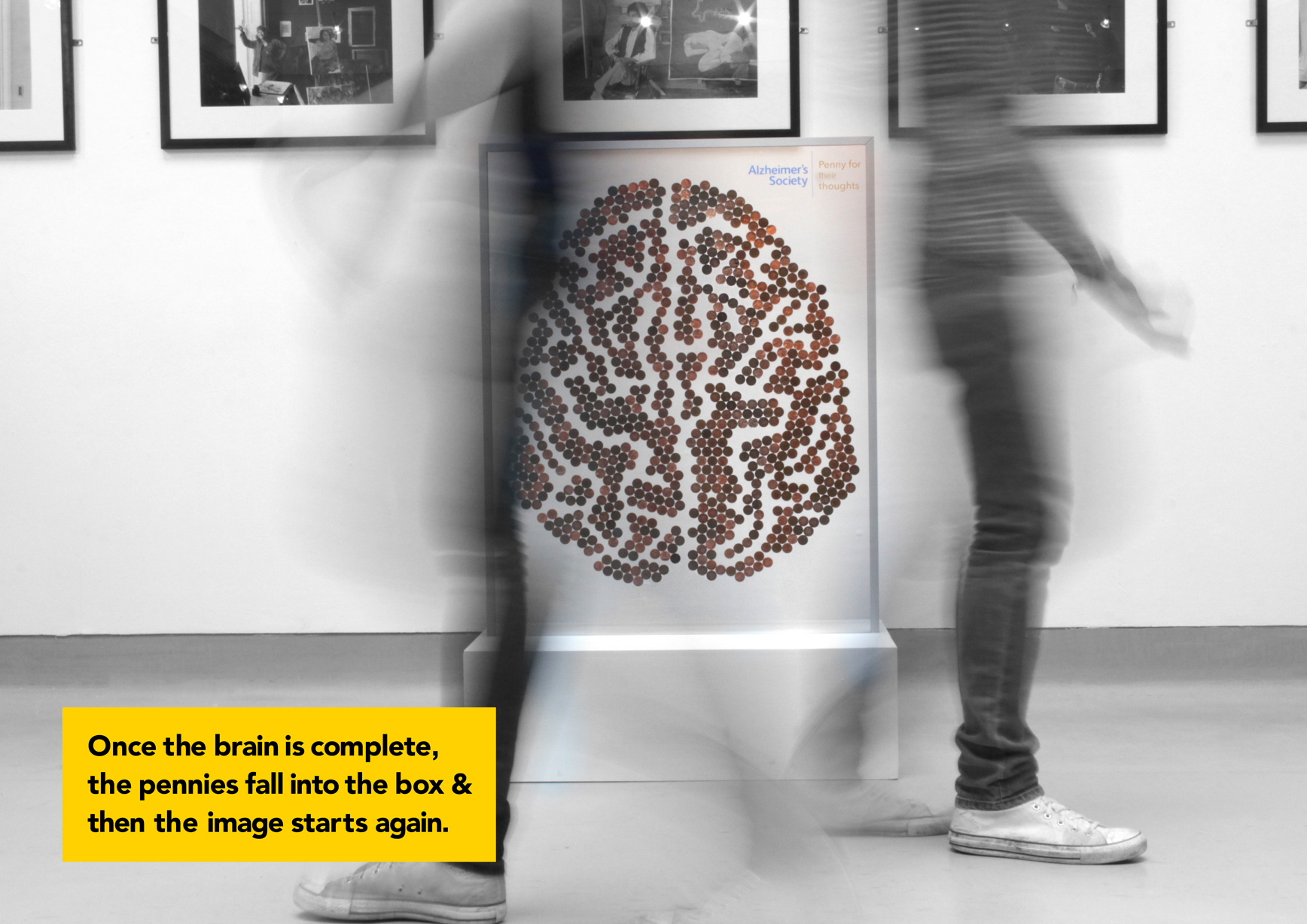 PennyBrainPresentation6