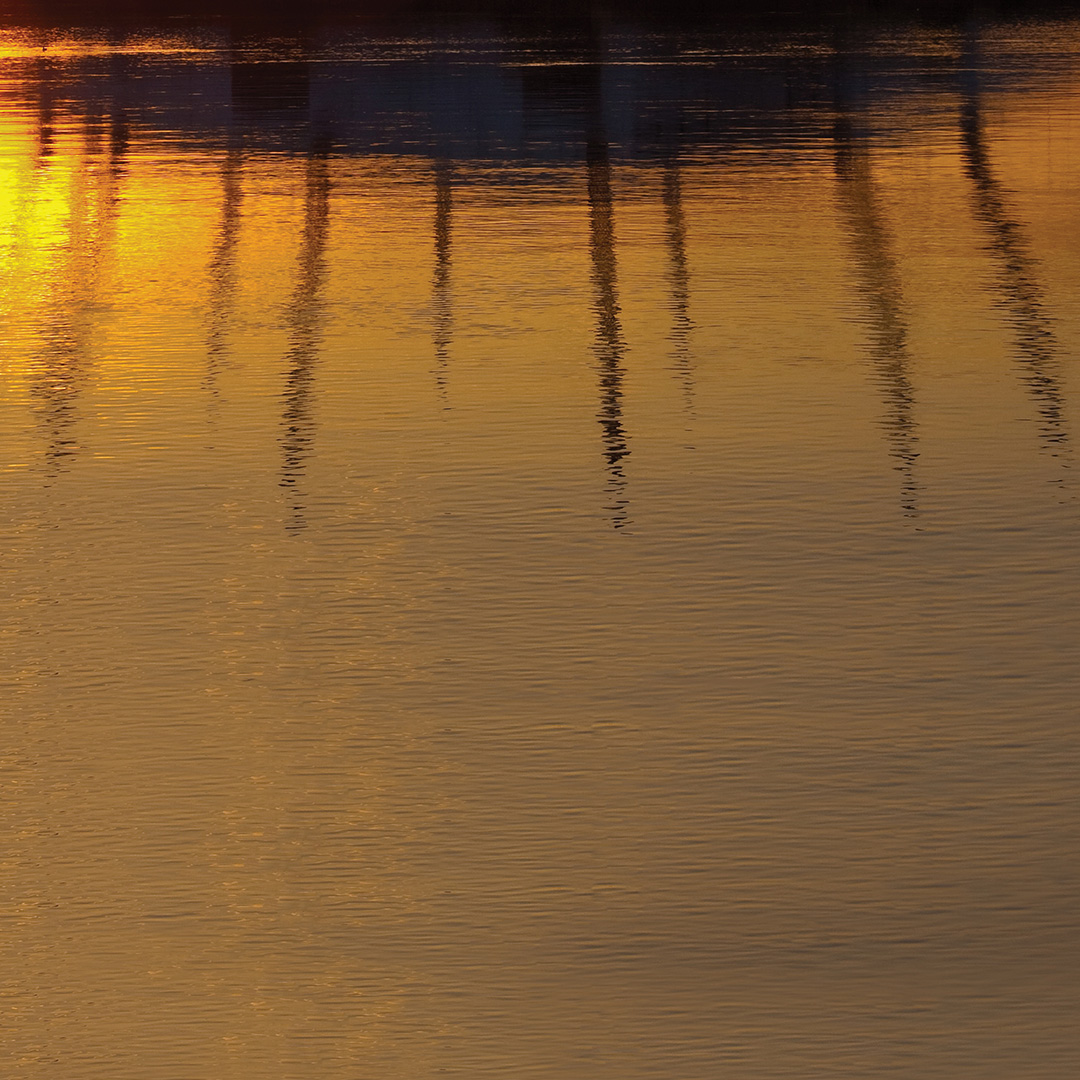 Thames-Clippers-3-CMYK-thumb