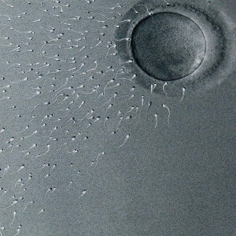 Creative Circle – Call for Entries